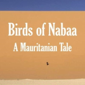 Birds Of Nabaaa Mauritanian Tale