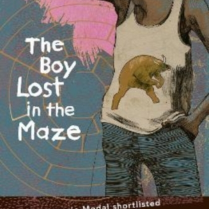 The Boy Lost In The Maze