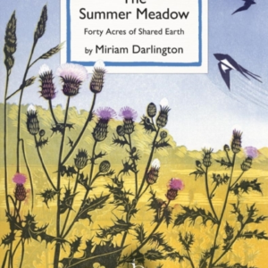 The Summer Meadowforty Acres Of Shared Earth