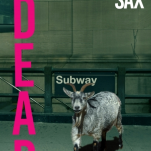 Yr Dead