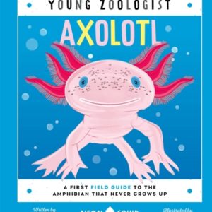 Axolotl Young Zoologista First Field Guide To The Amphibian