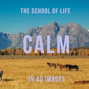 Calm In 40 Imagesthe Art Of Finding Serenity