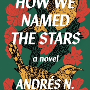 How We Named The Stars