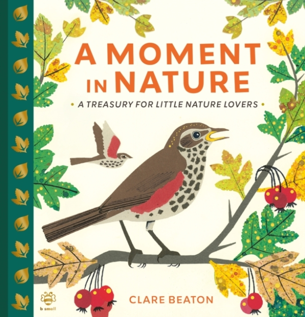 A Moment In Naturea Treasury For Little Nature Lovers