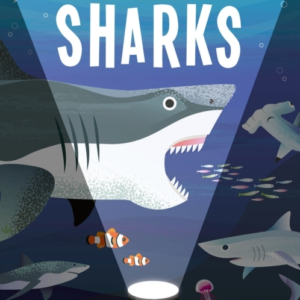 Magic Searchlight - Sharks