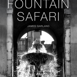 Fountain Safari