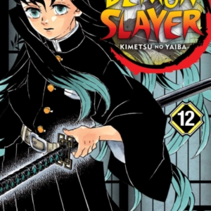 Demon Slayer Kimetsu No Yaiba Vol. 12