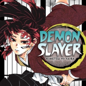 Demon Slayer Kimetsu No Yaiba Vol. 20