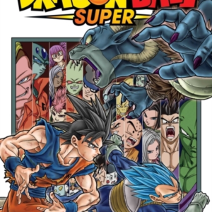 Dragon Ball Super Vol. 13