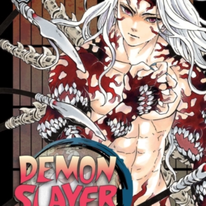 Demon Slayer Kimetsu No Yaiba Vol. 22