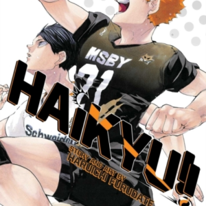 Haikyu!! Vol. 45
