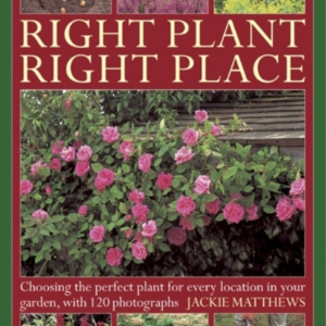 Right Plant Right Place Choosing The Perfect Plant For Every