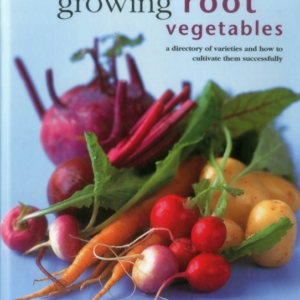 Growing Root Vegetables A Directory Of Varieties And How To