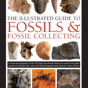 Fossils & Fossil Collecting, The Illustrated Guide To A Refe