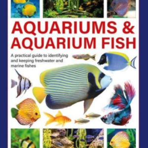 Aquariums & Aquarium Fish A Practical Guide To Identifying A