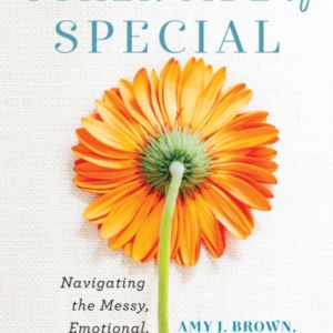 The Other Side Of Special  -  Navigating The Messy, Emotional,