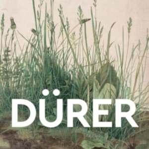 Durermasters Of Art