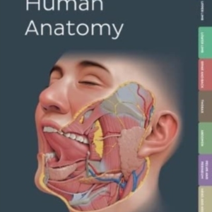 Kenhub Atlas Of Human Anatomy