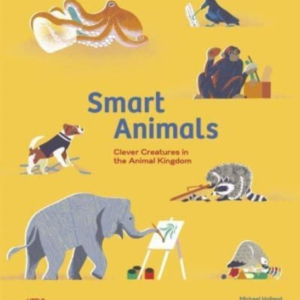 Smart Animalsclever Creatures In The Animal Kingdom