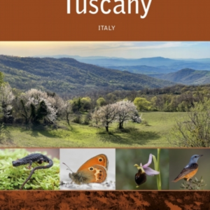 Tuscanyitaly