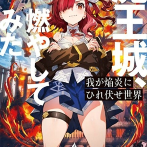 The World Bows Down Before My Flames Vol. 1 (Novel)