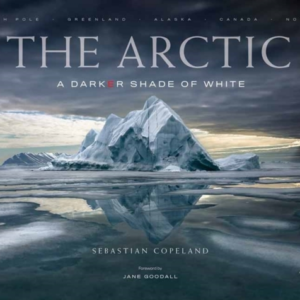 The Arctic A Darker Shade Of White