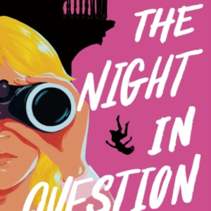 The Night In Question An Agathas Mystery