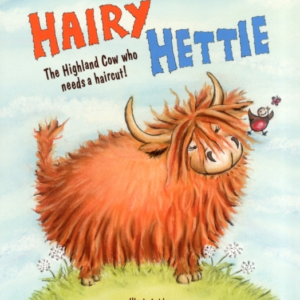 Hairy Hettie The Highland Cow Who Needs A Haircut