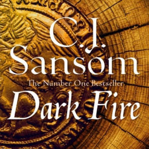 Dark Fire The Gripping Second Instalment In The Bestselling