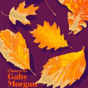 Cosy Poems