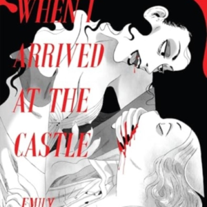 When I Arrived At The Castle