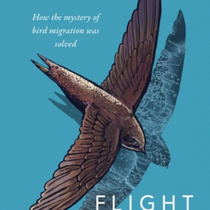 Flight Pathshow The Mystery Of Bird Migration Was Solved