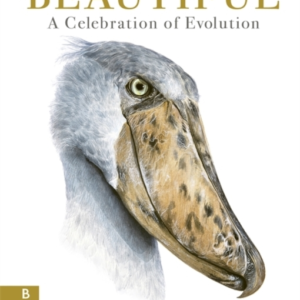 Beautifula Celebration Of Evolution