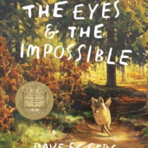 The Eyes And The Impossible