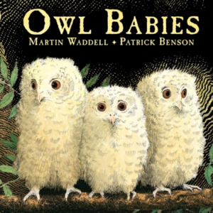 Owl Babies