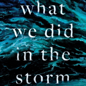 What We Did In The Storm