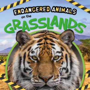On The Grasslands