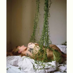 Mine blomster hugger dig til blods