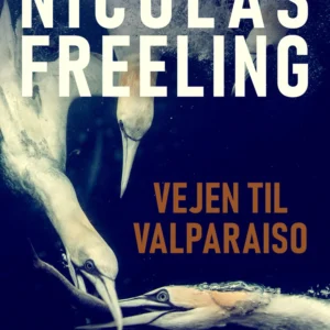 Vejen til Valparaiso