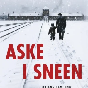Aske i sneen