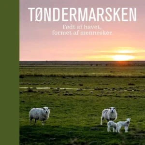 Tøndermarsken