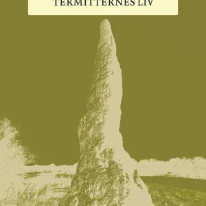 Termitternes liv