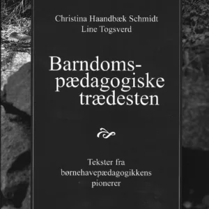 Barndomspædagogiske trædesten