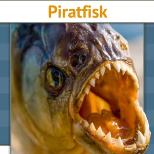 Piratfisk