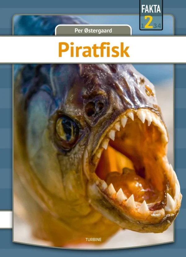 Piratfisk