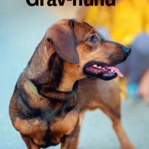 Gravhund, Grøn Fagklub