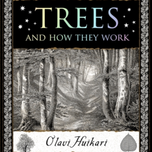 Treesand How They Work