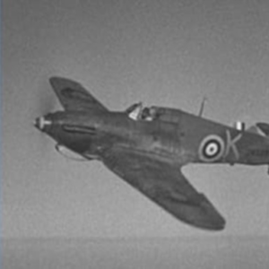 Hurricane Flip Book