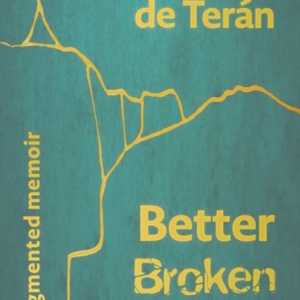 Better Broken Than Newa Fragmented Memoir