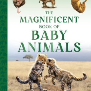 The Magnificent Book Of Baby Animals
